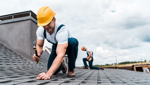 selective-focus-of-handyman-holding-hammer-while-r-2022-11-03-03-49-46-8KB24RL